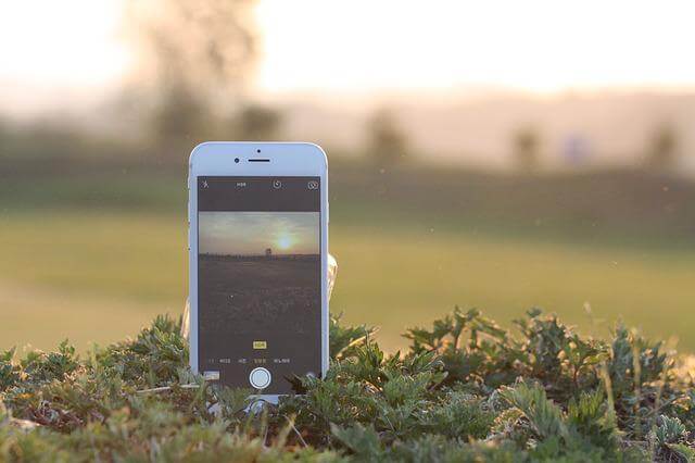 노을지는 풀밭에 핸드폰이 놓여져 있는 사진